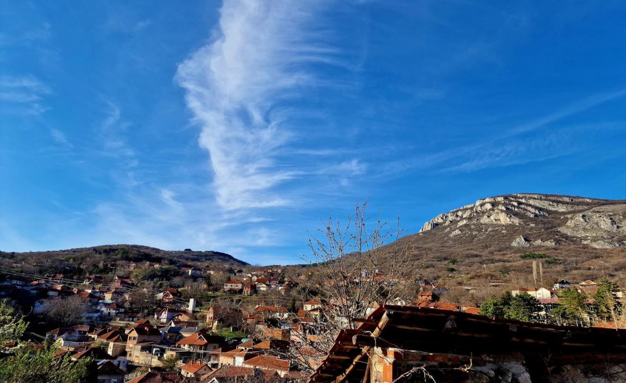 Konak -Guest House -Ramonda Serbika นิส ภายนอก รูปภาพ