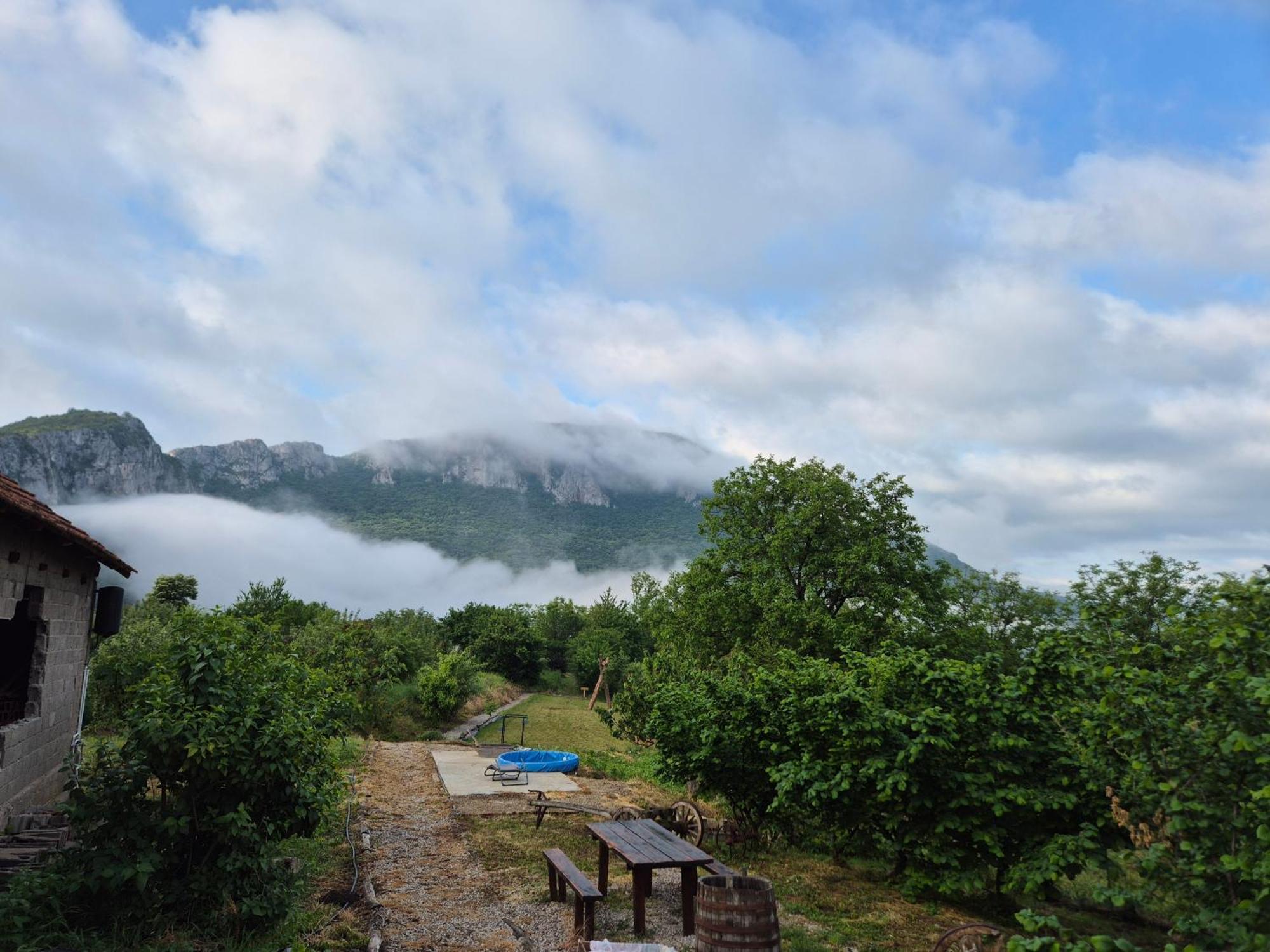 Konak -Guest House -Ramonda Serbika นิส ห้อง รูปภาพ